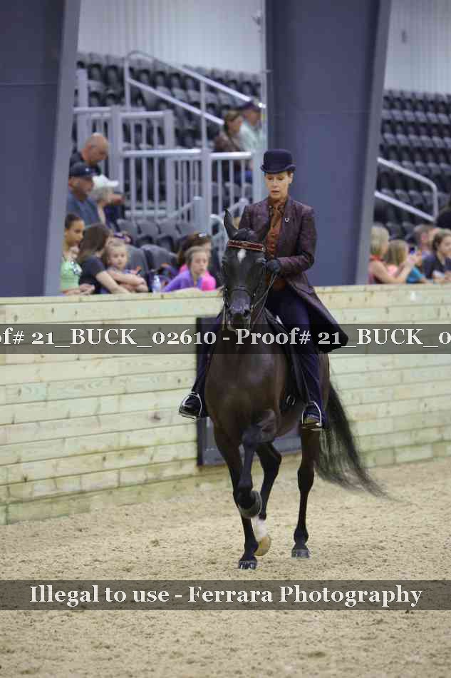 Proof 21_BUCK_02610