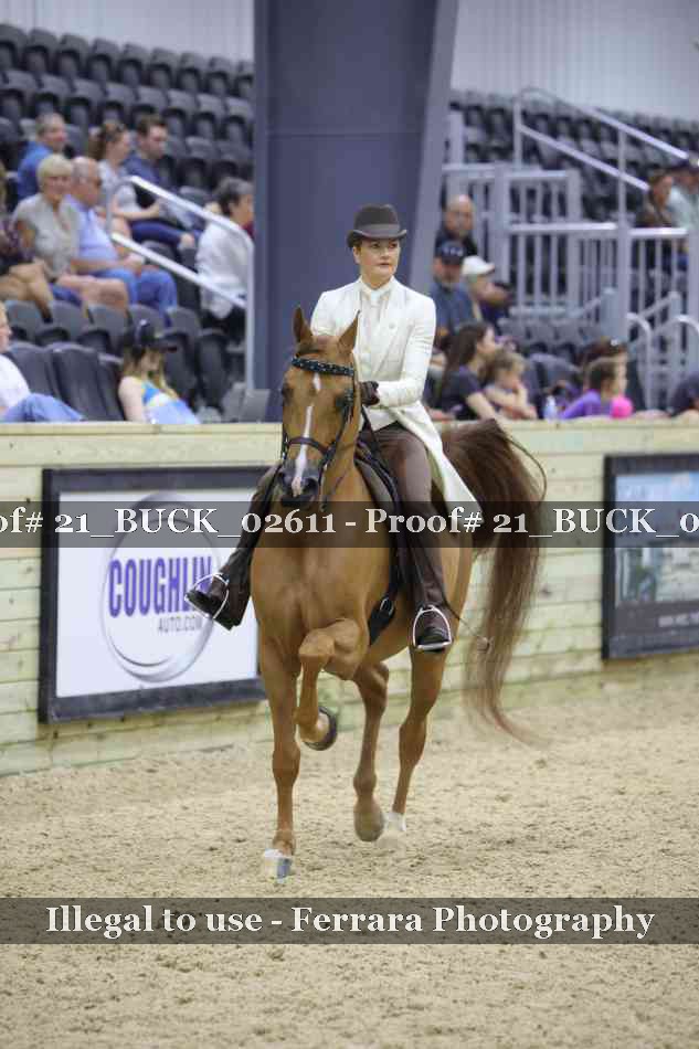 Proof 21_BUCK_02611