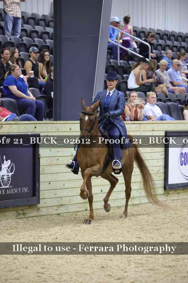 Proof 21_BUCK_02612