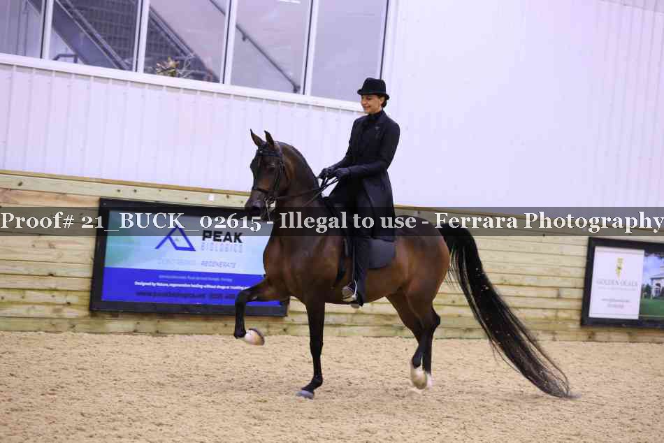 Proof 21_BUCK_02615
