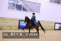 21_BUCK_02616 proof