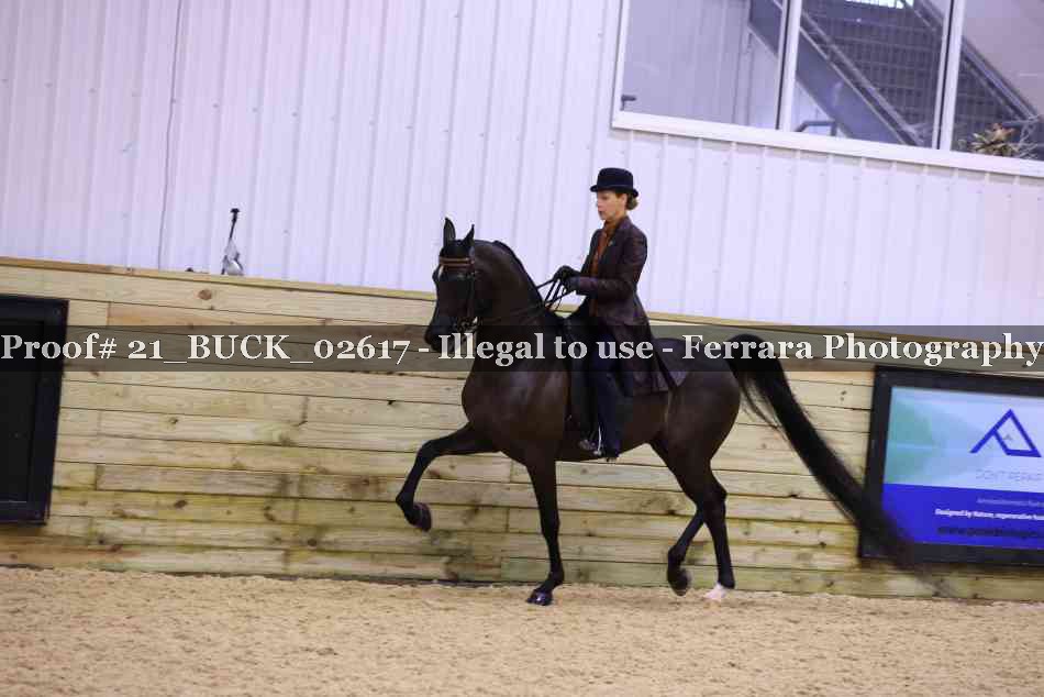 Proof 21_BUCK_02617