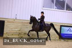 21_BUCK_02617 proof
