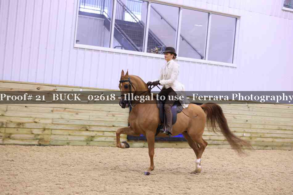 Proof 21_BUCK_02618