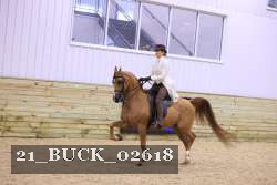 21_BUCK_02618 proof