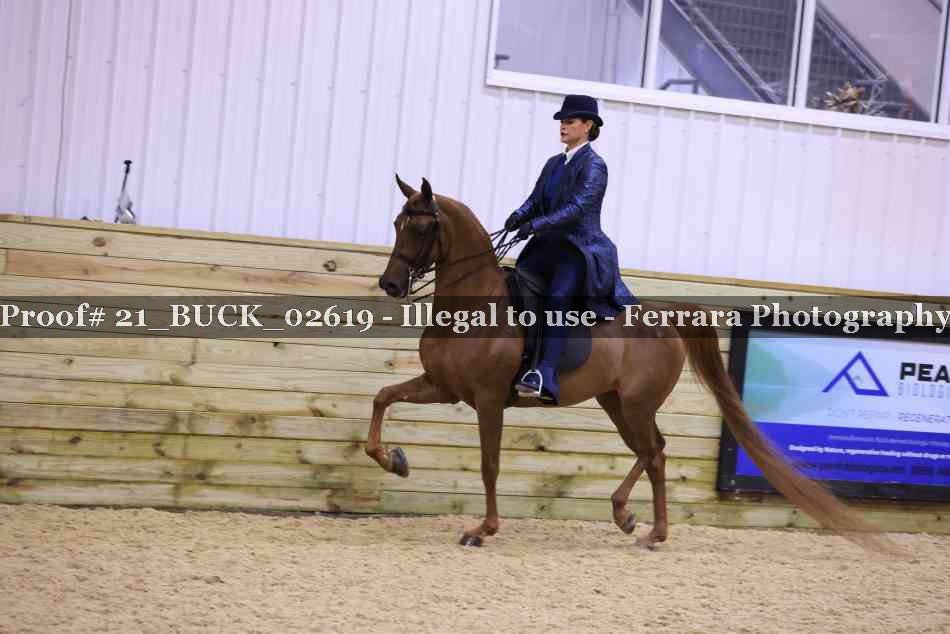 Proof 21_BUCK_02619