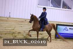 21_BUCK_02619 proof
