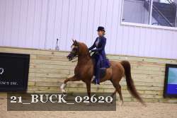 21_BUCK_02620 proof