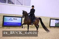 21_BUCK_02621 proof
