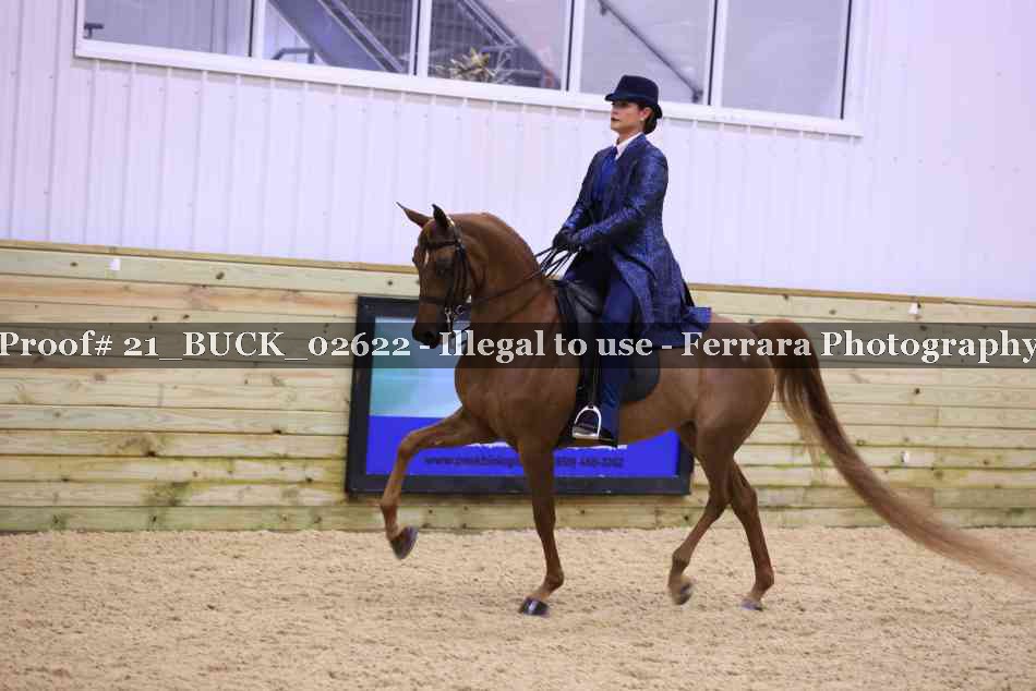 Proof 21_BUCK_02622
