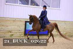 21_BUCK_02622 proof