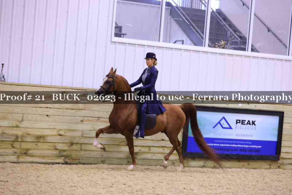Proof 21_BUCK_02623