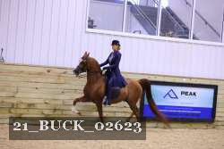 21_BUCK_02623 proof