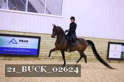 21_BUCK_02624 proof