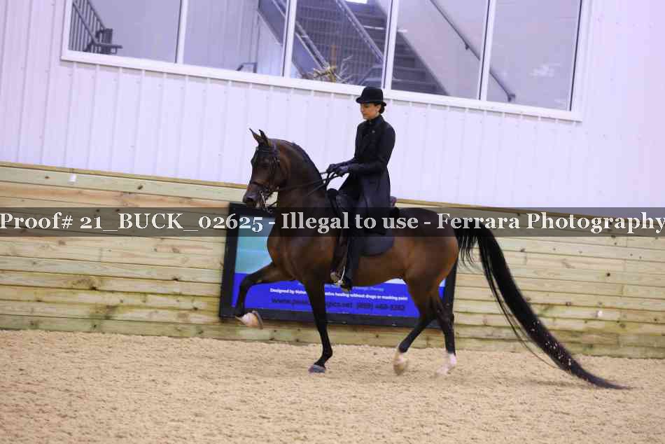 Proof 21_BUCK_02625