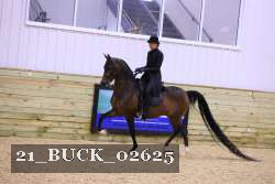 21_BUCK_02625 proof