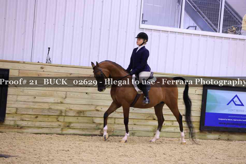 Proof 21_BUCK_02629