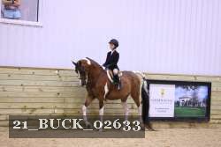 21_BUCK_02633 proof