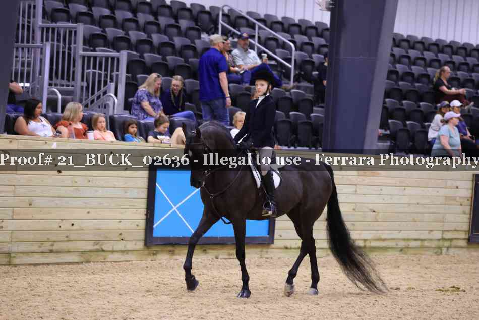 Proof 21_BUCK_02636