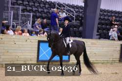 21_BUCK_02636 proof
