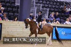 21_BUCK_02637 proof