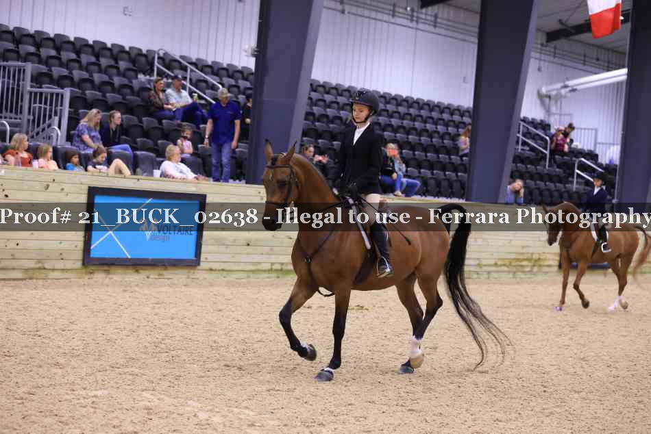 Proof 21_BUCK_02638
