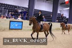 21_BUCK_02638 proof