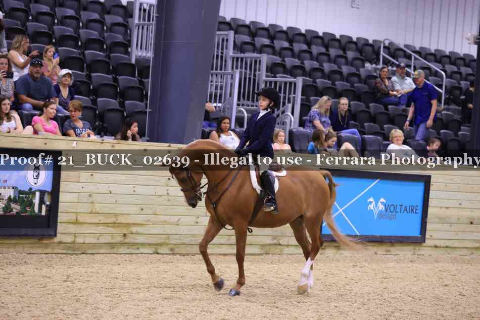 Proof 21_BUCK_02639