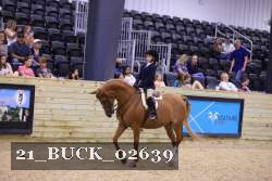 21_BUCK_02639 proof