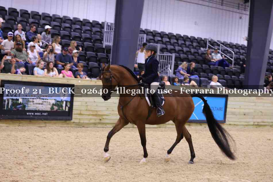 Proof 21_BUCK_02640