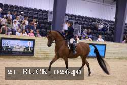 21_BUCK_02640 proof