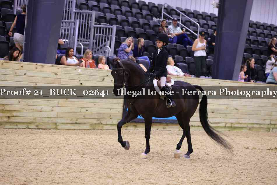 Proof 21_BUCK_02641