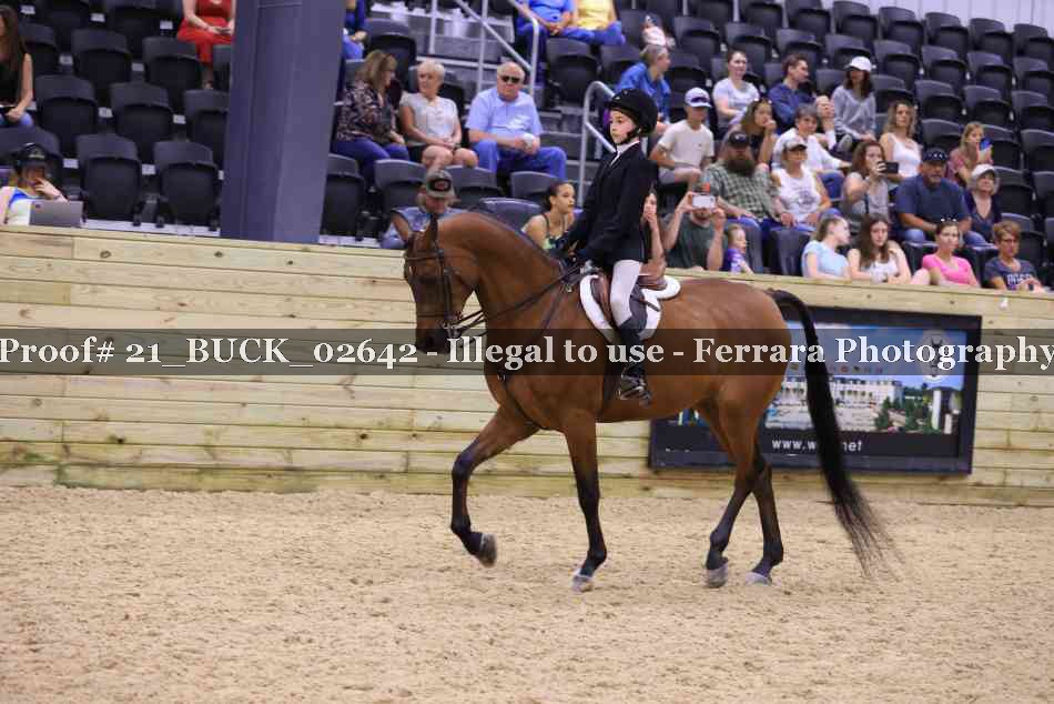 Proof 21_BUCK_02642