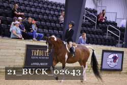 21_BUCK_02643 proof