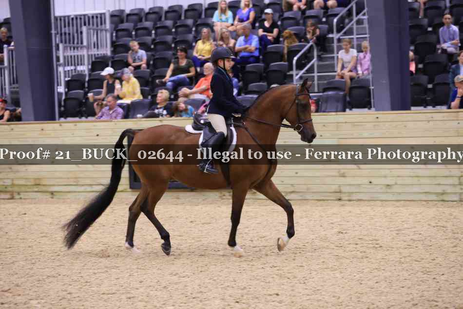 Proof 21_BUCK_02644