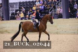 21_BUCK_02644 proof