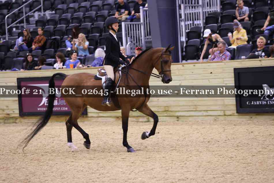 Proof 21_BUCK_02645