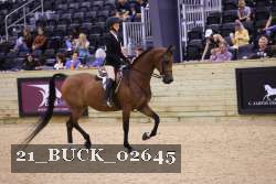 21_BUCK_02645 proof
