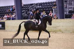 21_BUCK_02646 proof