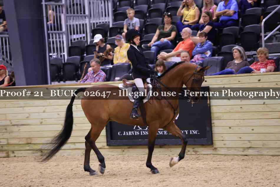 Proof 21_BUCK_02647