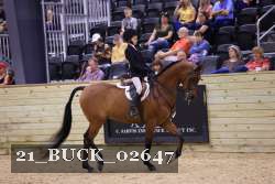 21_BUCK_02647 proof