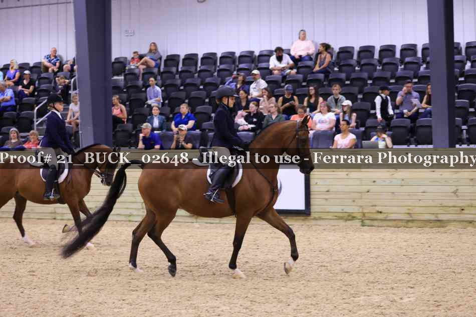 Proof 21_BUCK_02648