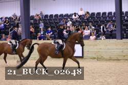 21_BUCK_02648 proof