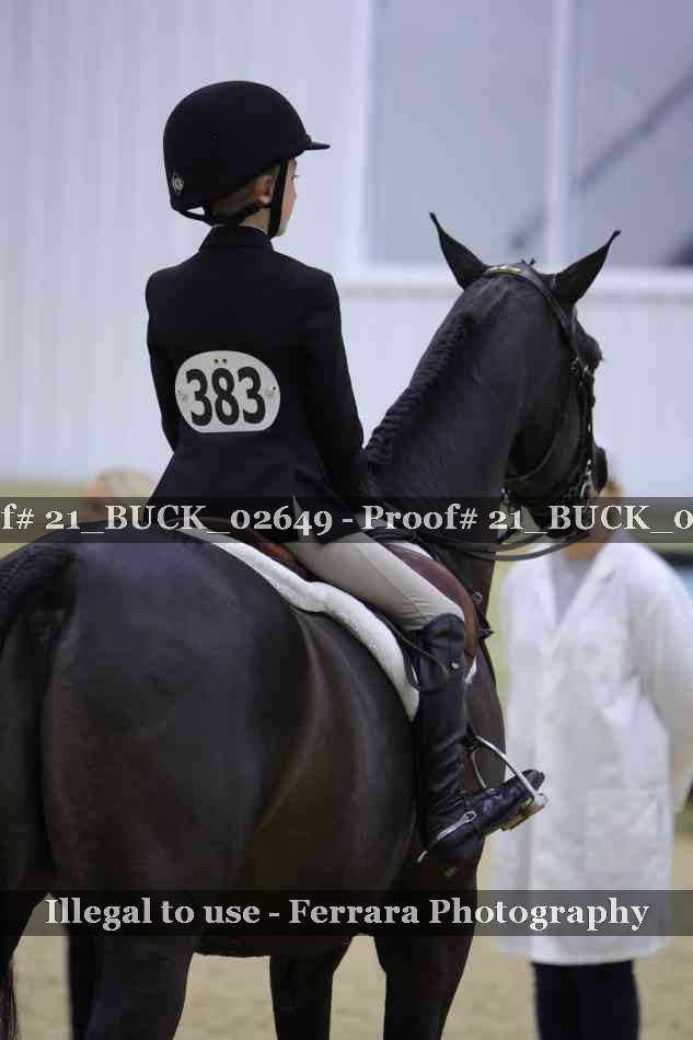 Proof 21_BUCK_02649