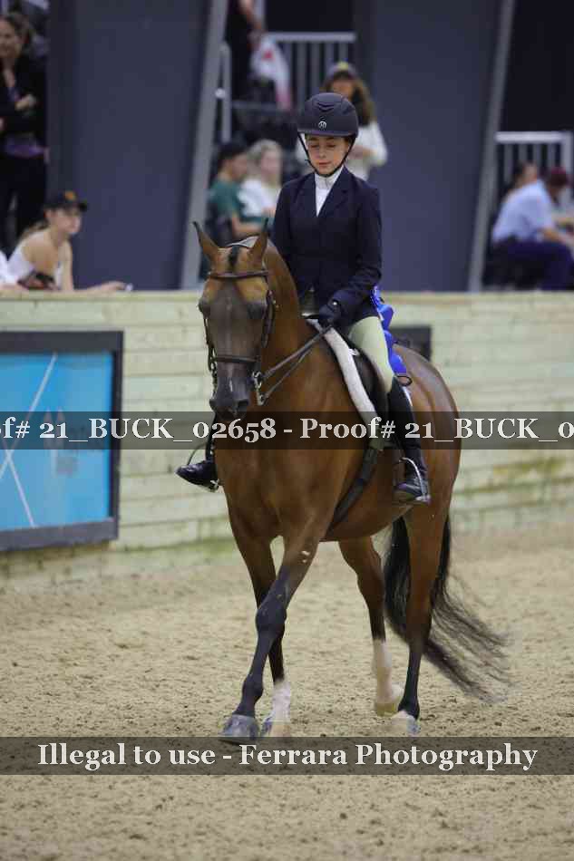 Proof 21_BUCK_02658