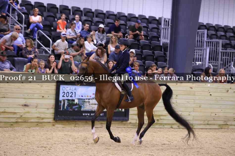 Proof 21_BUCK_02659
