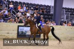 21_BUCK_02659 proof