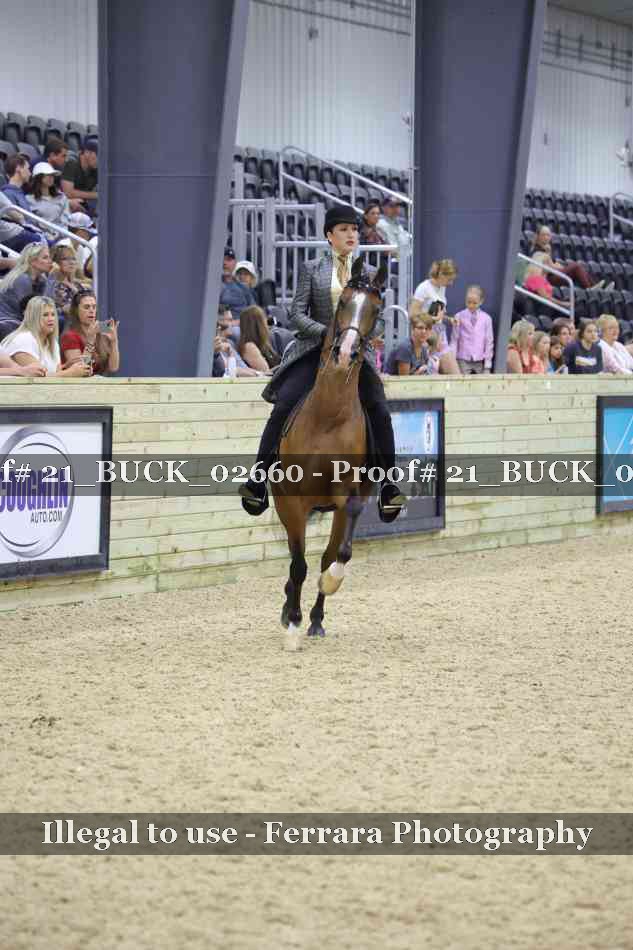 Proof 21_BUCK_02660