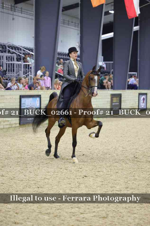Proof 21_BUCK_02661
