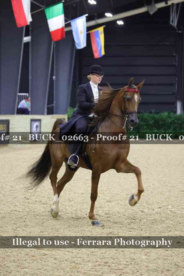 Proof 21_BUCK_02663
